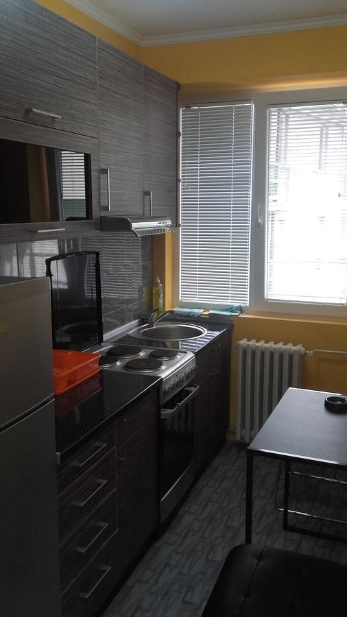 House Prljevic Apartment Užice Екстериор снимка